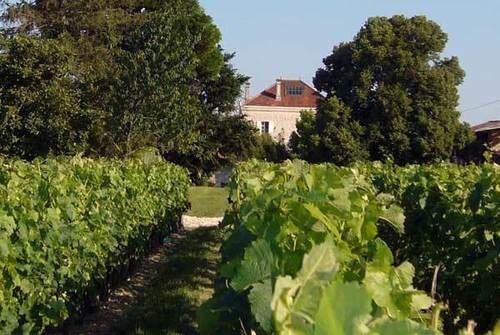 Domaine De Quittignan Brillette Hotel Moulis-en-Médoc Exterior foto